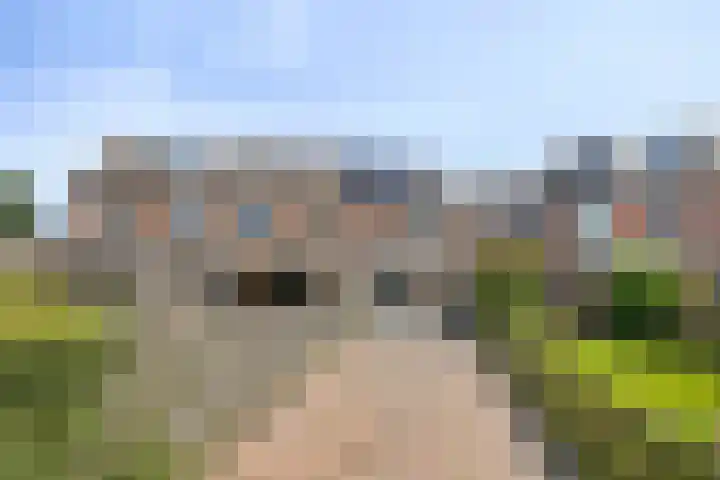 De Populieren 5 Bedum thumbnail 6