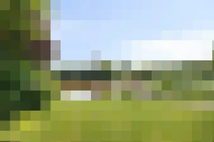 De Populieren 5 Bedum thumbnail 7