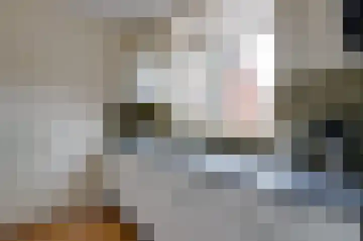 De Populieren 52 Bedum thumbnail 13