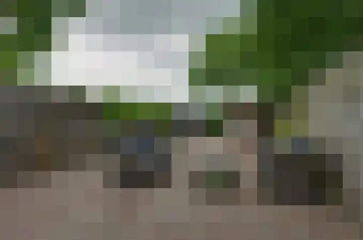 De Populieren 52 Bedum thumbnail 30