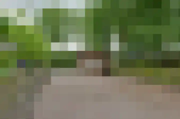 De Populieren 52 Bedum thumbnail 31