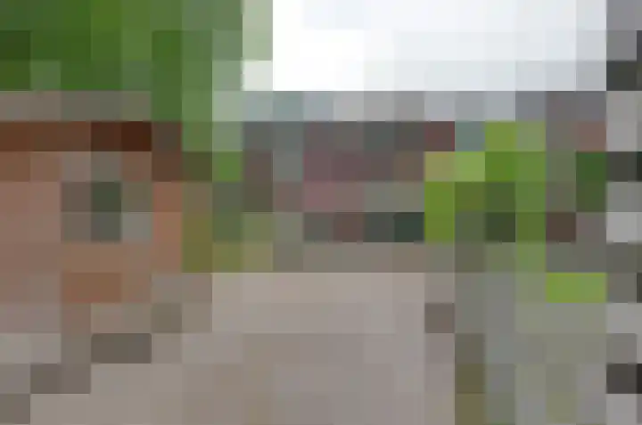 De Populieren 52 Bedum thumbnail 32