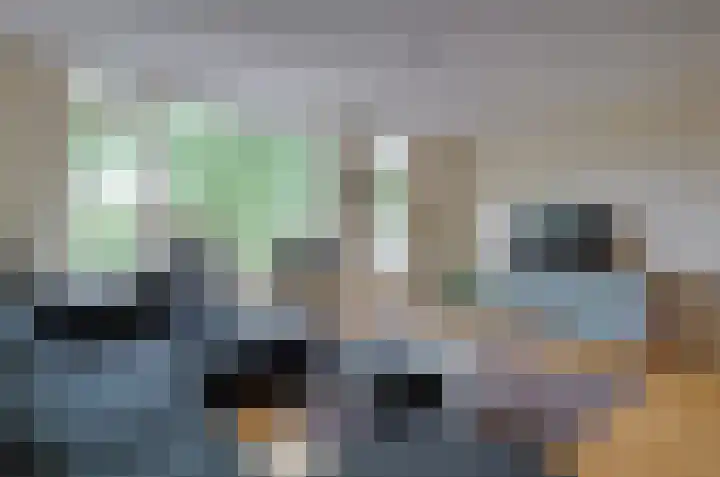 De Populieren 52 Bedum thumbnail 5