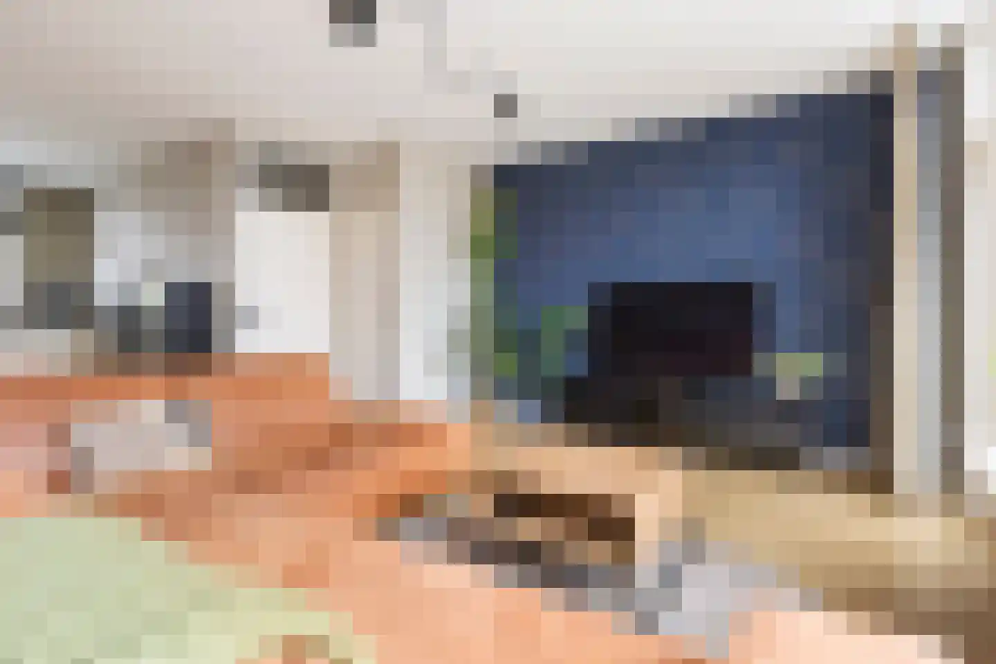 De Populieren 68 Bedum thumbnail 15