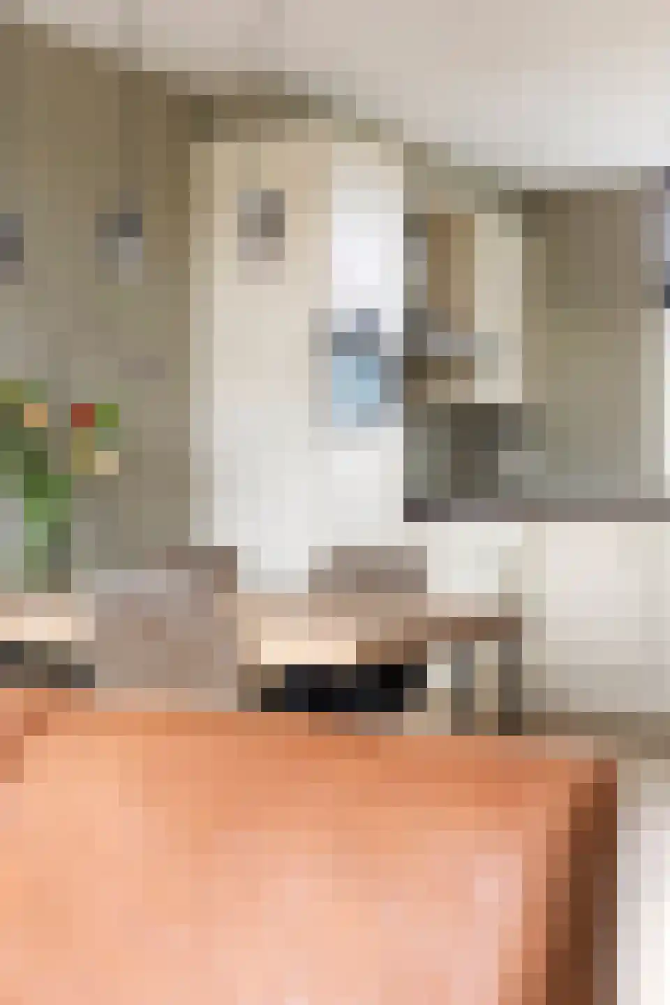 De Populieren 68 Bedum thumbnail 17
