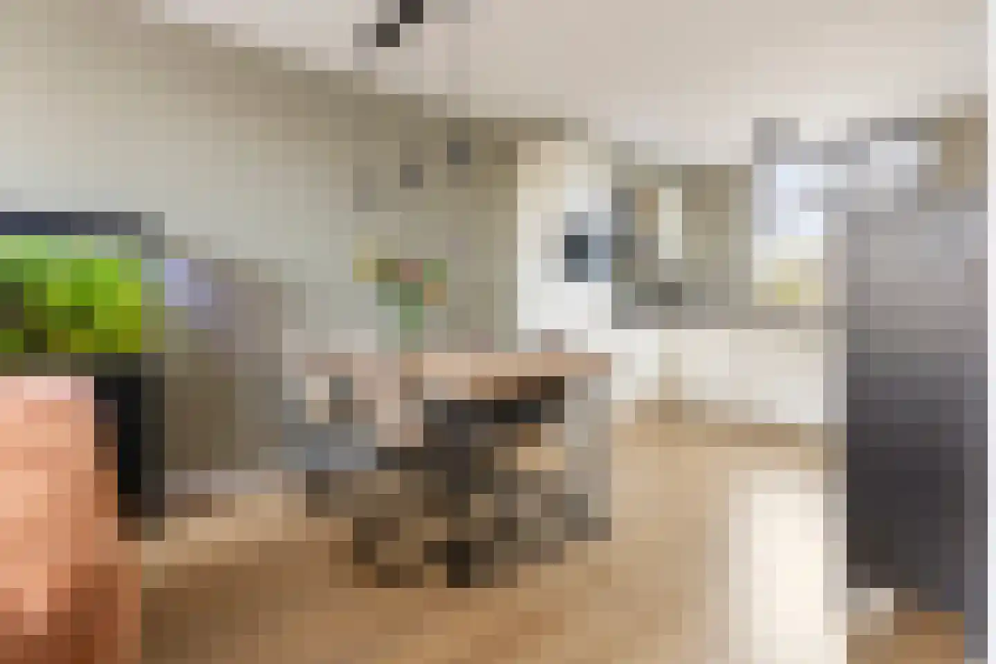 De Populieren 68 Bedum thumbnail 18