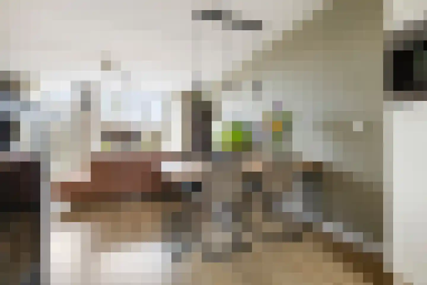 De Populieren 68 Bedum thumbnail 22