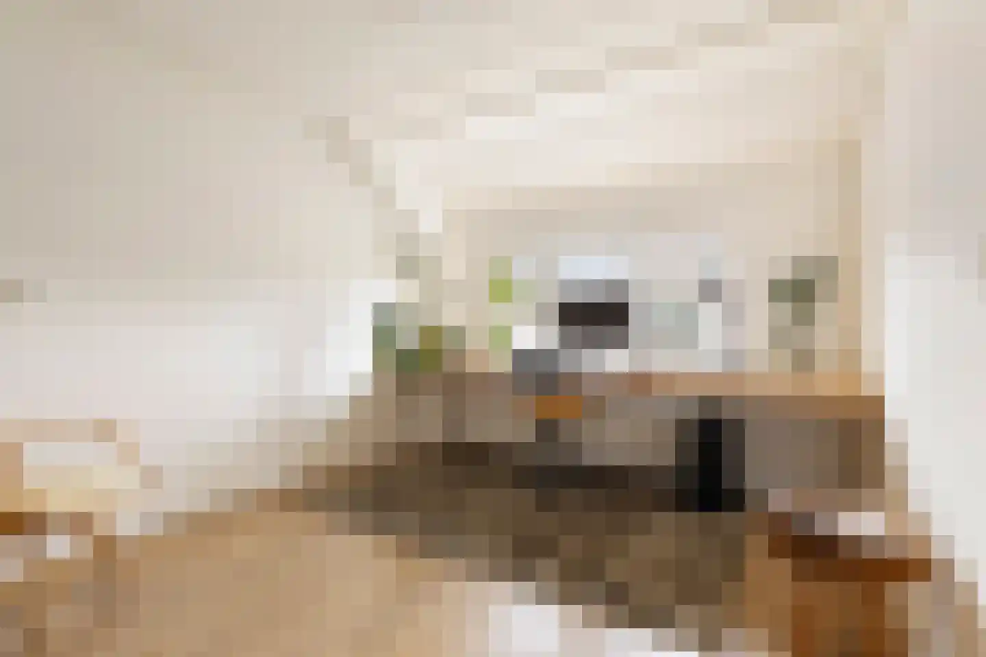De Populieren 68 Bedum thumbnail 28