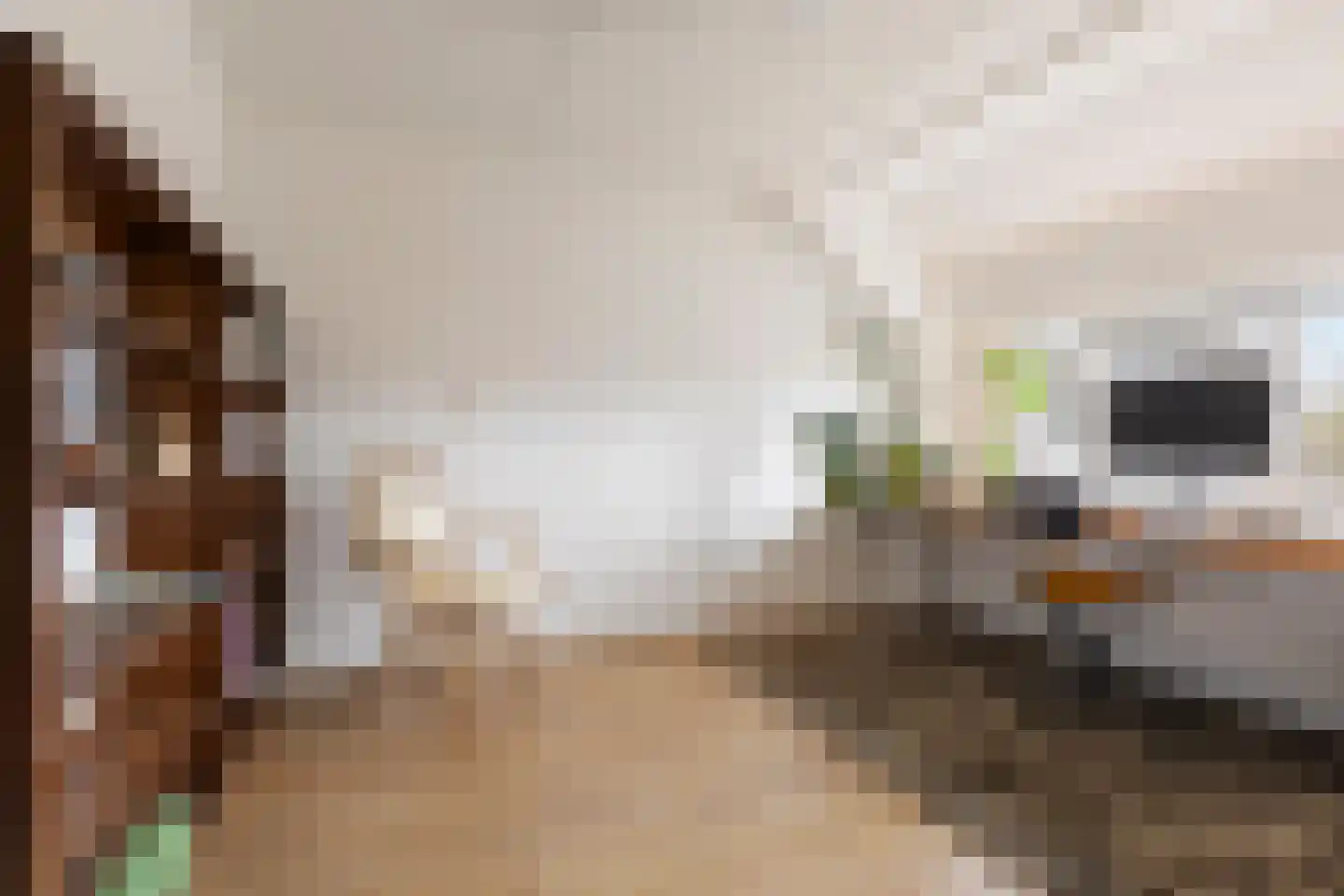 De Populieren 68 Bedum thumbnail 29
