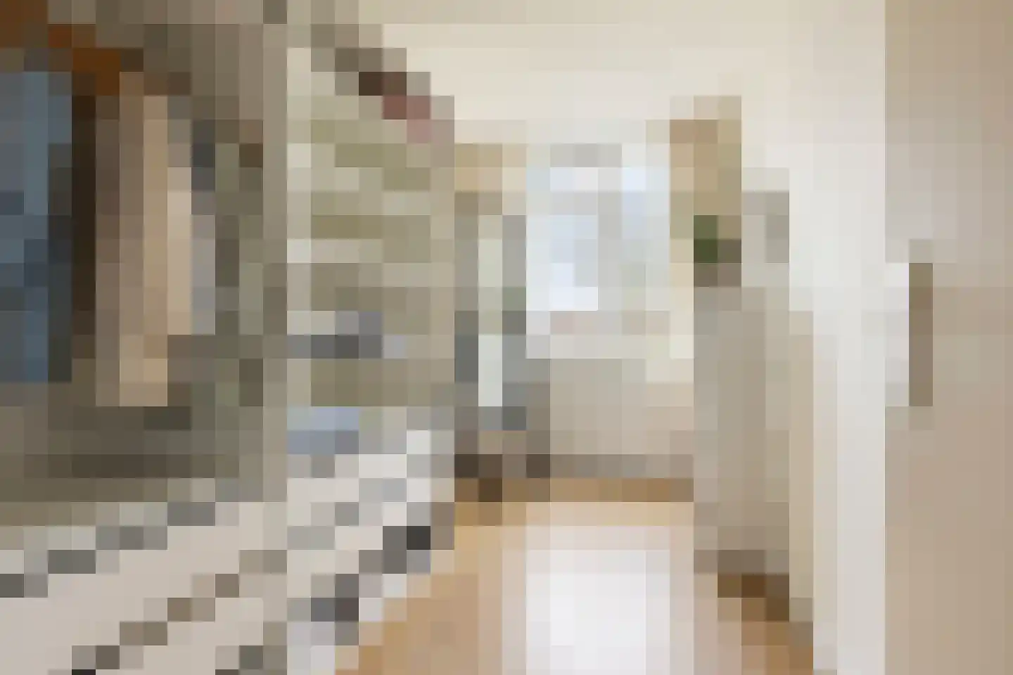 De Populieren 68 Bedum thumbnail 30