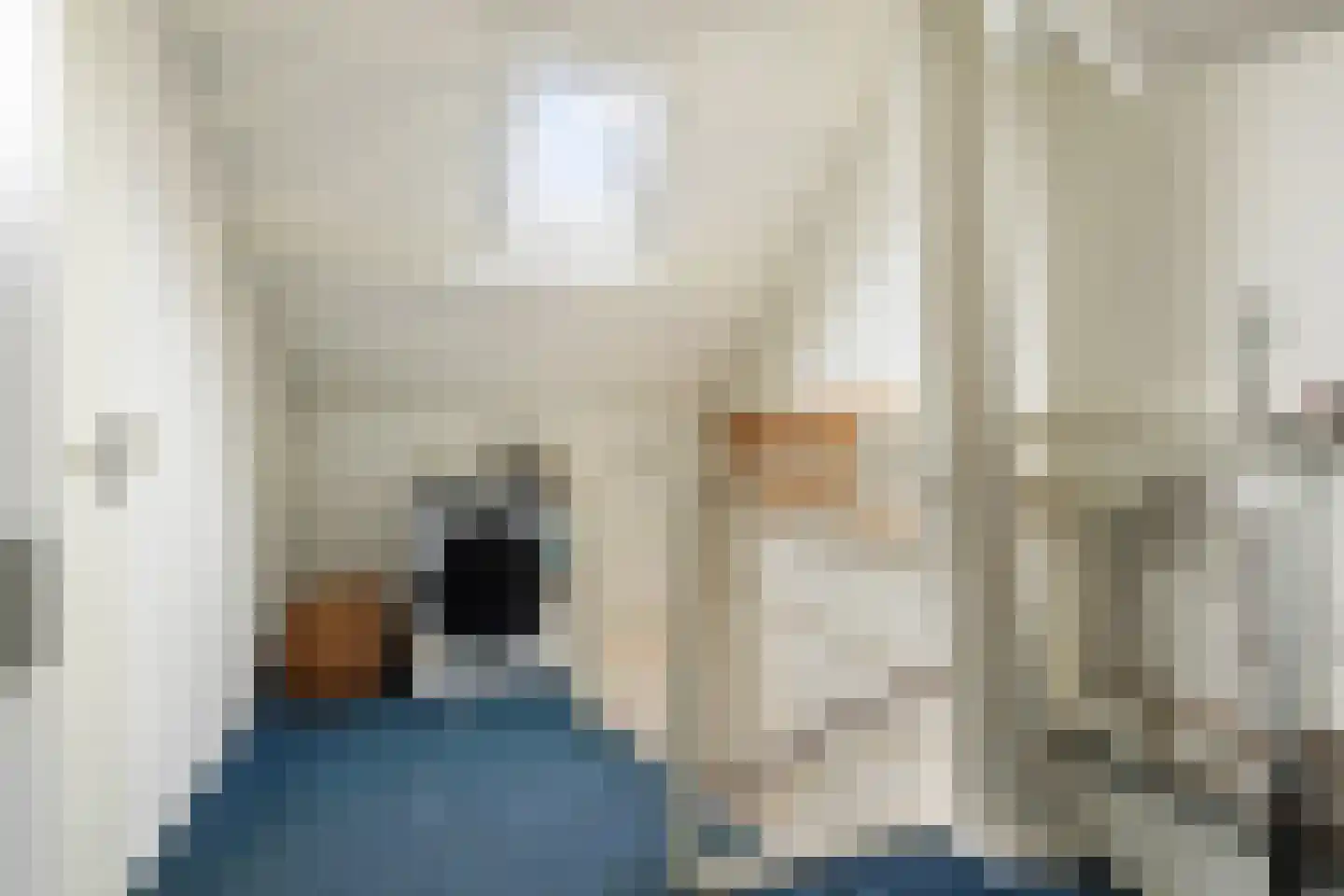 De Populieren 68 Bedum thumbnail 35