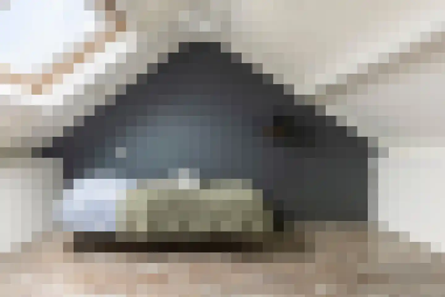 De Populieren 68 Bedum thumbnail 36