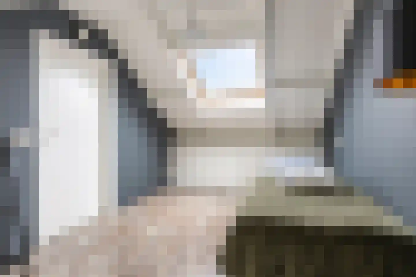 De Populieren 68 Bedum thumbnail 37