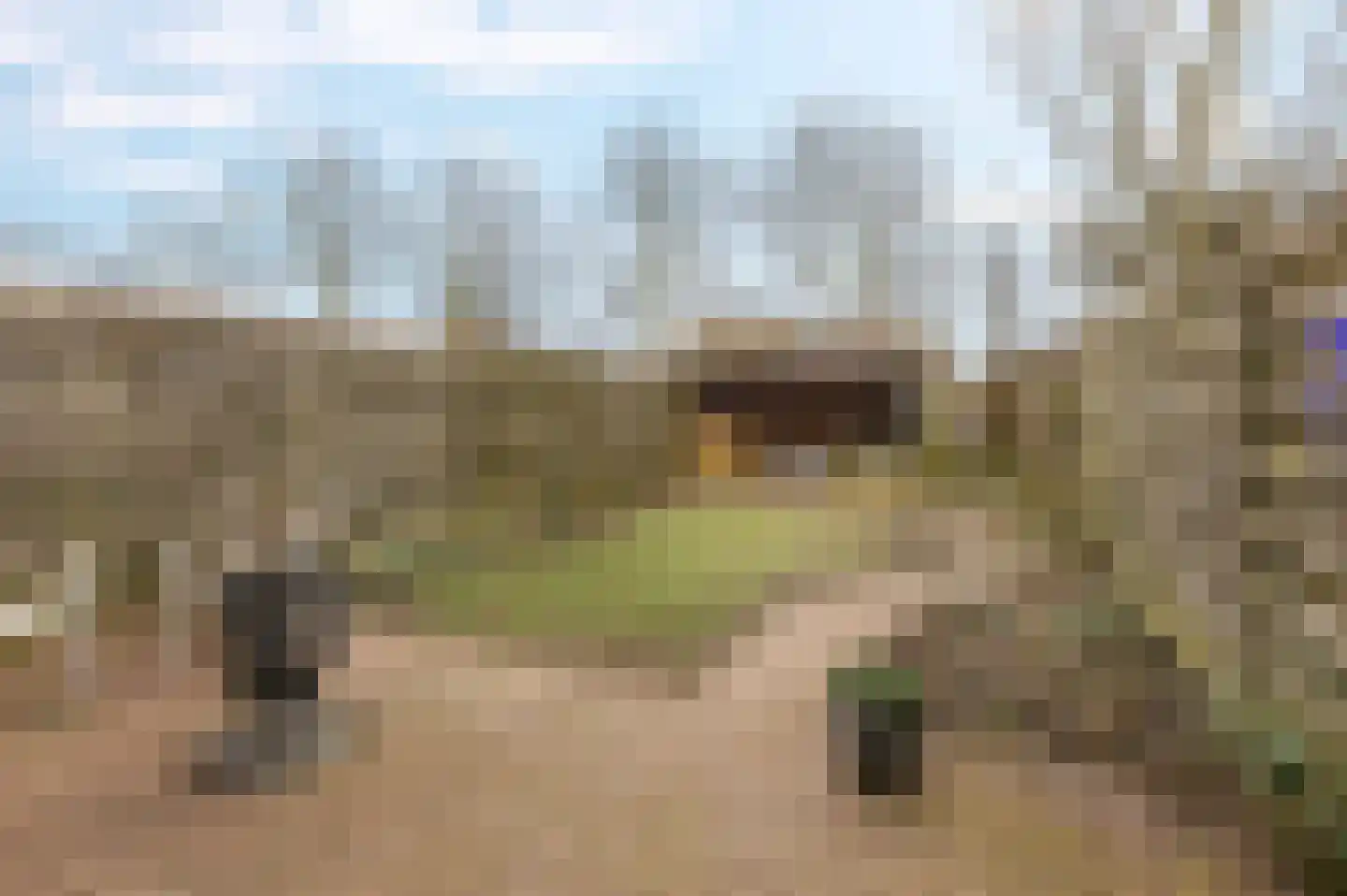 De Populieren 68 Bedum thumbnail 40