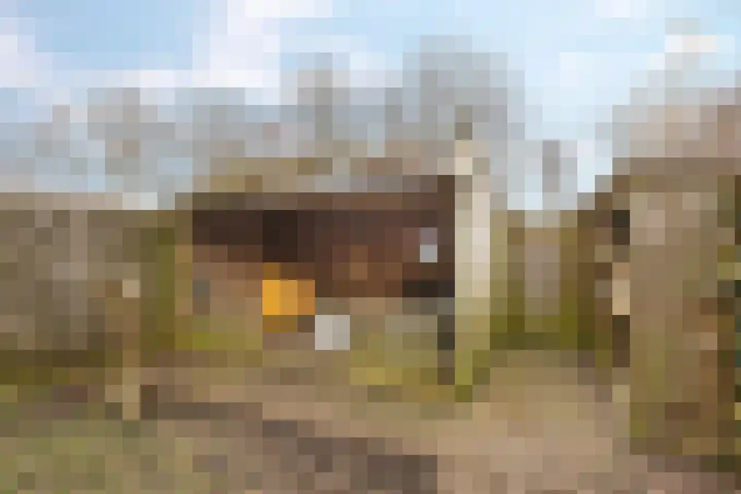 De Populieren 68 Bedum thumbnail 41