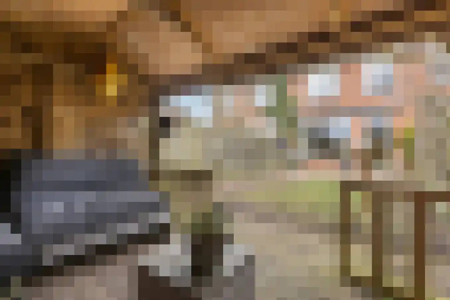 De Populieren 68 Bedum thumbnail 42