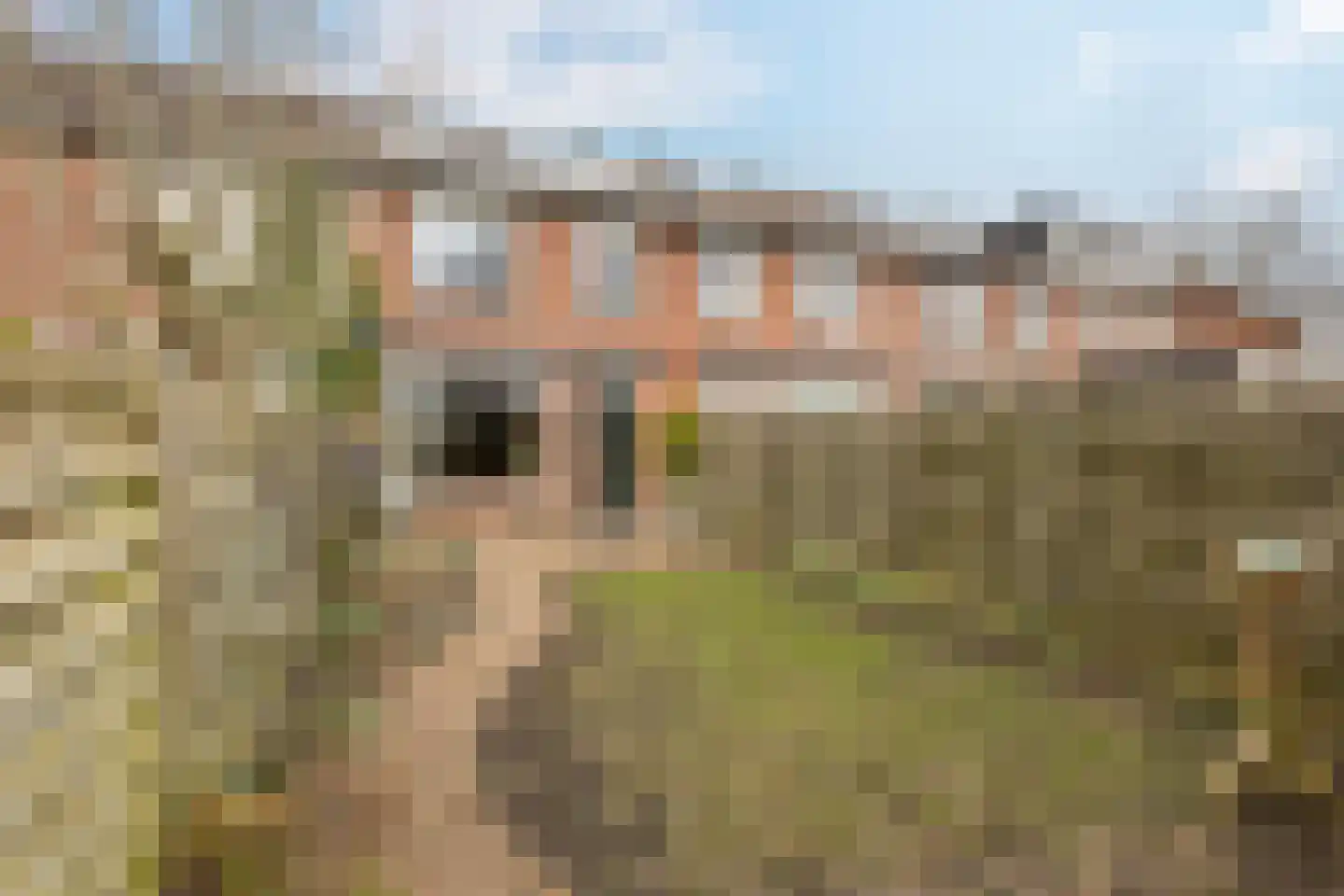 De Populieren 68 Bedum thumbnail 44