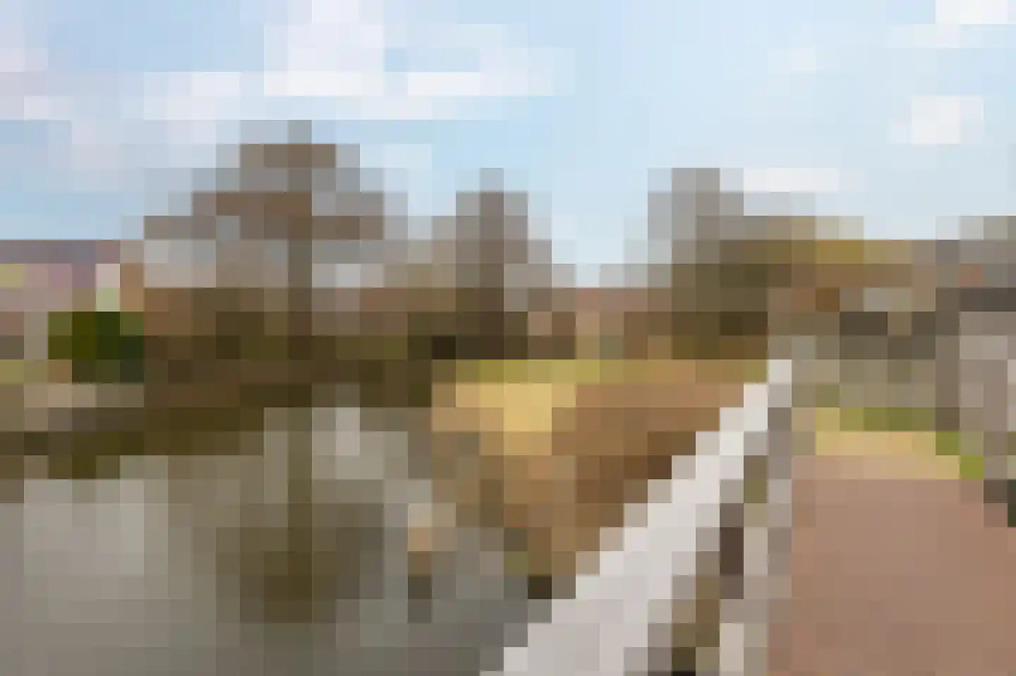 De Populieren 68 Bedum thumbnail 45