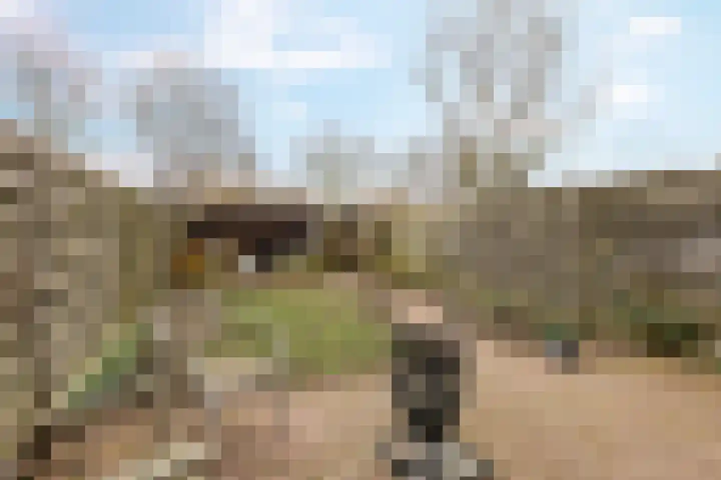 De Populieren 68 Bedum thumbnail 5