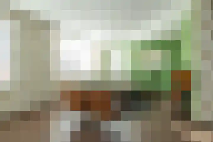 De Poste 16 Hollandscheveld thumbnail 11
