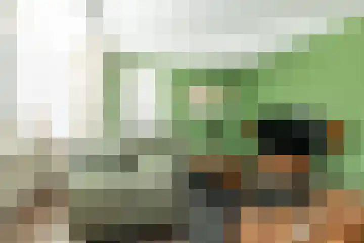 De Poste 16 Hollandscheveld thumbnail 12