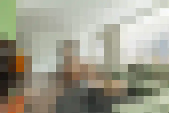 De Poste 16 Hollandscheveld thumbnail 13