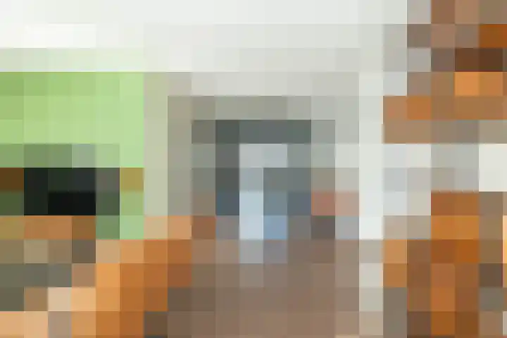 De Poste 16 Hollandscheveld thumbnail 15