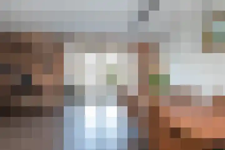 De Poste 16 Hollandscheveld thumbnail 17