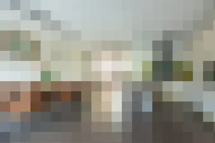 De Poste 16 Hollandscheveld thumbnail 18
