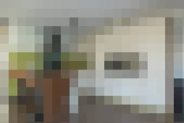 De Poste 16 Hollandscheveld thumbnail 21