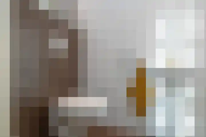 De Poste 16 Hollandscheveld thumbnail 31