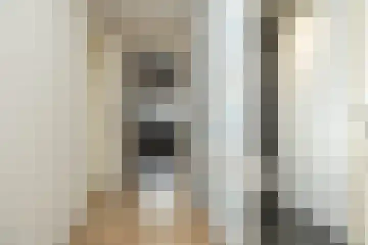 De Poste 16 Hollandscheveld thumbnail 42