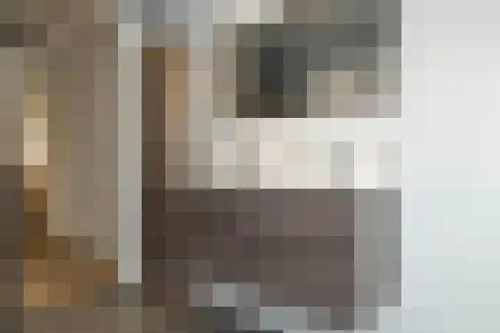 De Poste 16 Hollandscheveld thumbnail 45