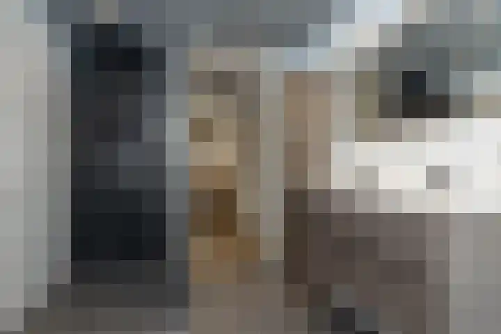 De Poste 16 Hollandscheveld thumbnail 47