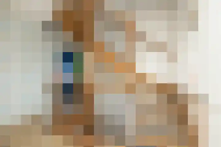 De Poste 16 Hollandscheveld thumbnail 49