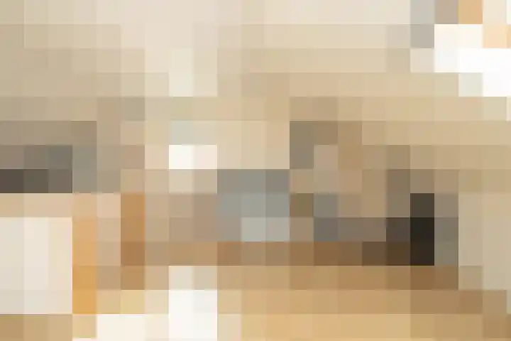 De Poste 16 Hollandscheveld thumbnail 51