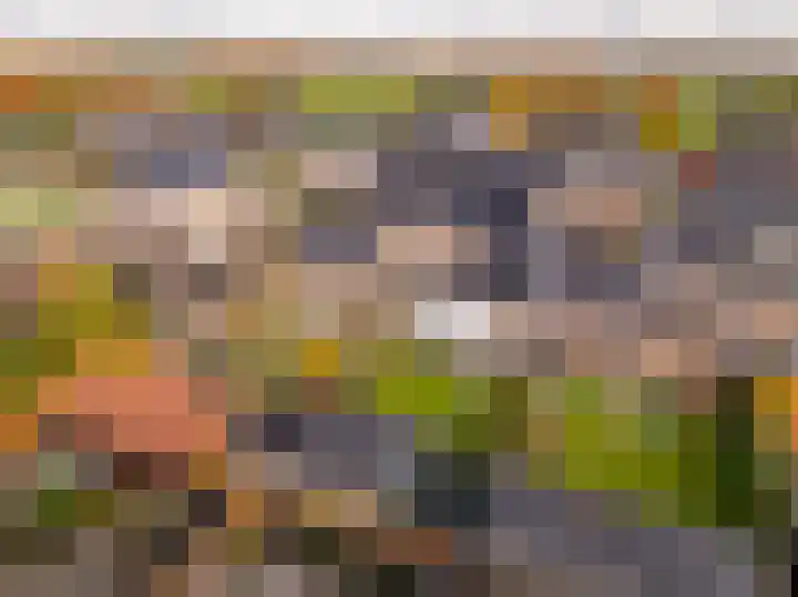 De Poste 16 Hollandscheveld thumbnail 54