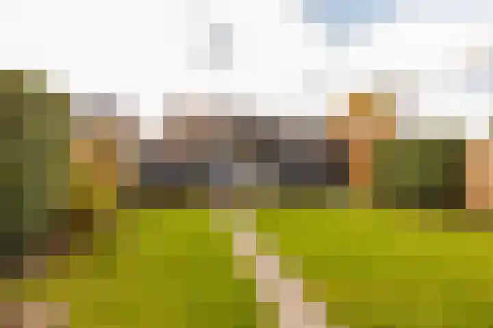 De Poste 16 Hollandscheveld thumbnail 55
