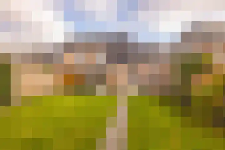 De Poste 16 Hollandscheveld thumbnail 56