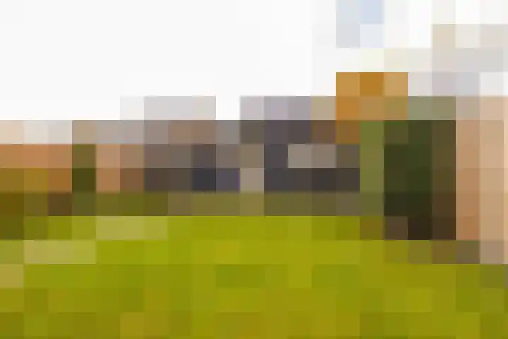 De Poste 16 Hollandscheveld thumbnail 62