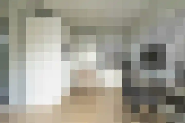 De Poste 16 Hollandscheveld thumbnail 65