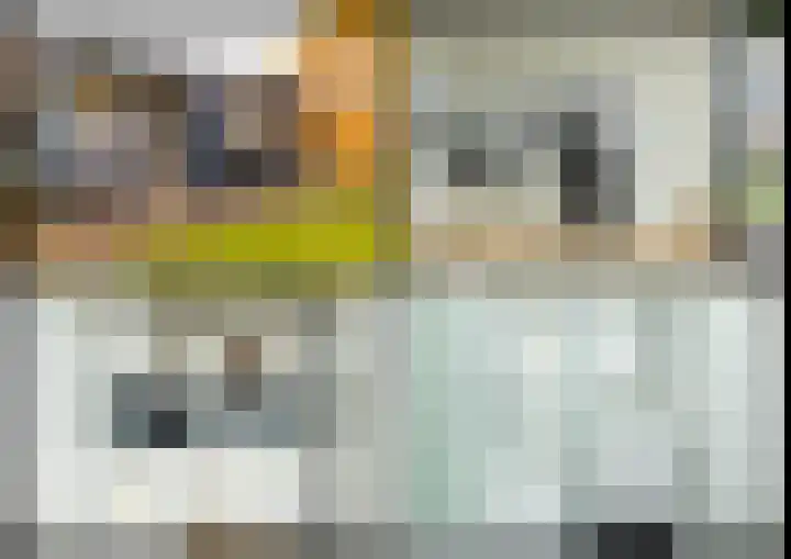 De Poste 16 Hollandscheveld thumbnail 69