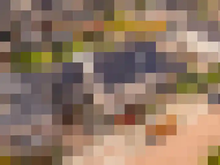 De Poste 16 Hollandscheveld thumbnail 71