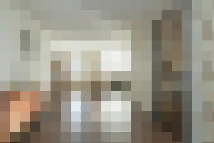 De Poste 16 Hollandscheveld thumbnail 9
