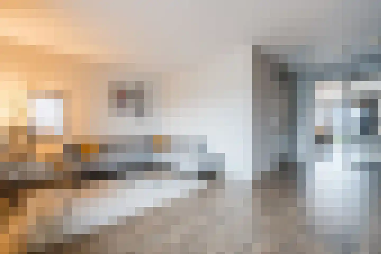De Poste 40 Hollandscheveld thumbnail 15
