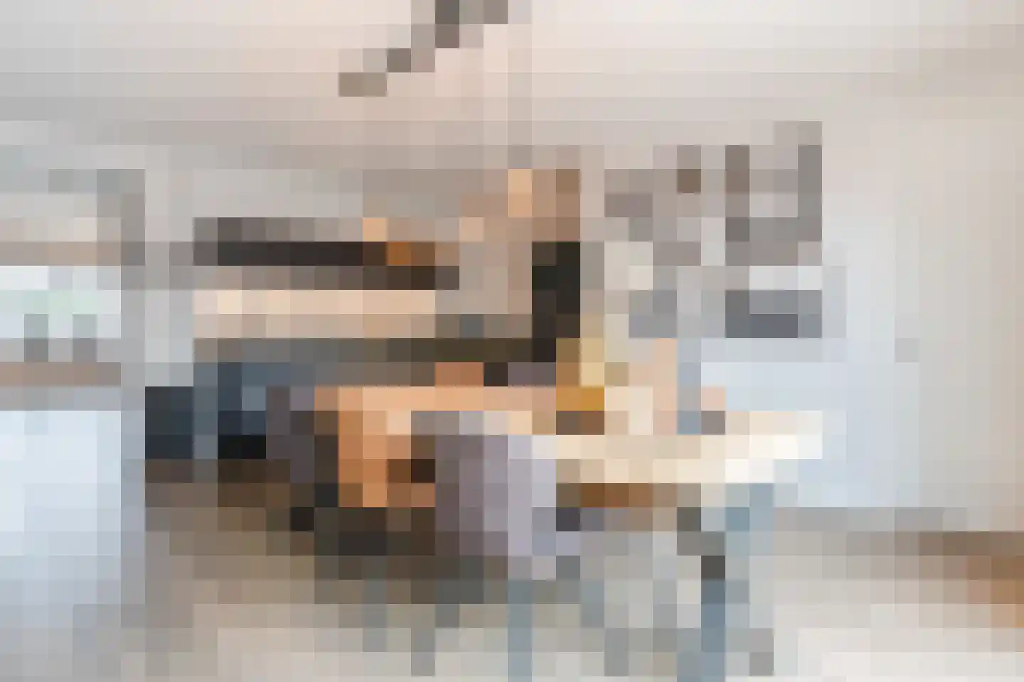 De Poste 40 Hollandscheveld thumbnail 19