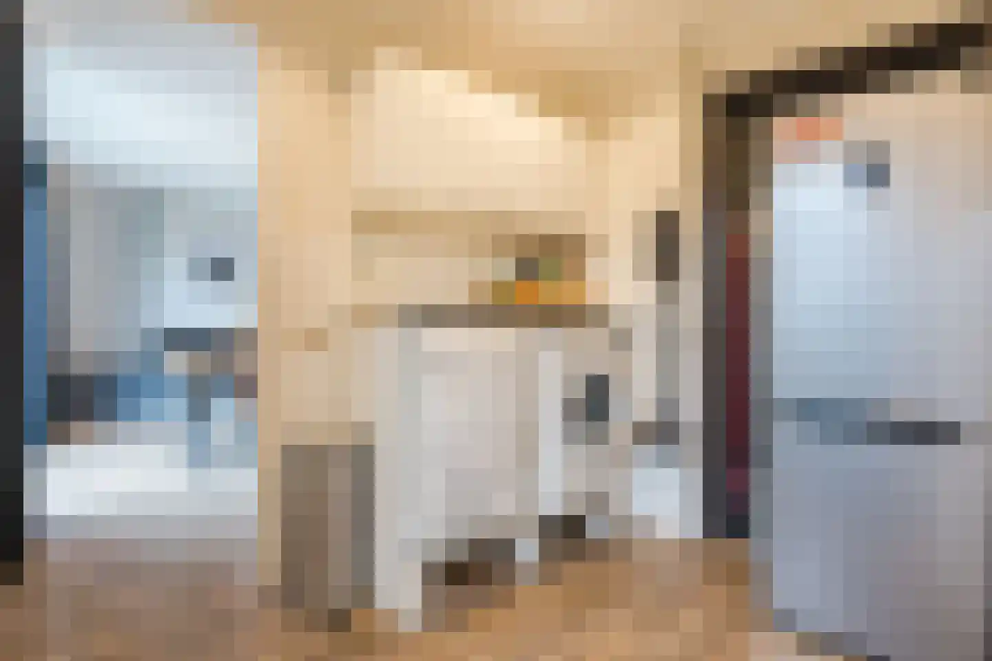 De Poste 40 Hollandscheveld thumbnail 25