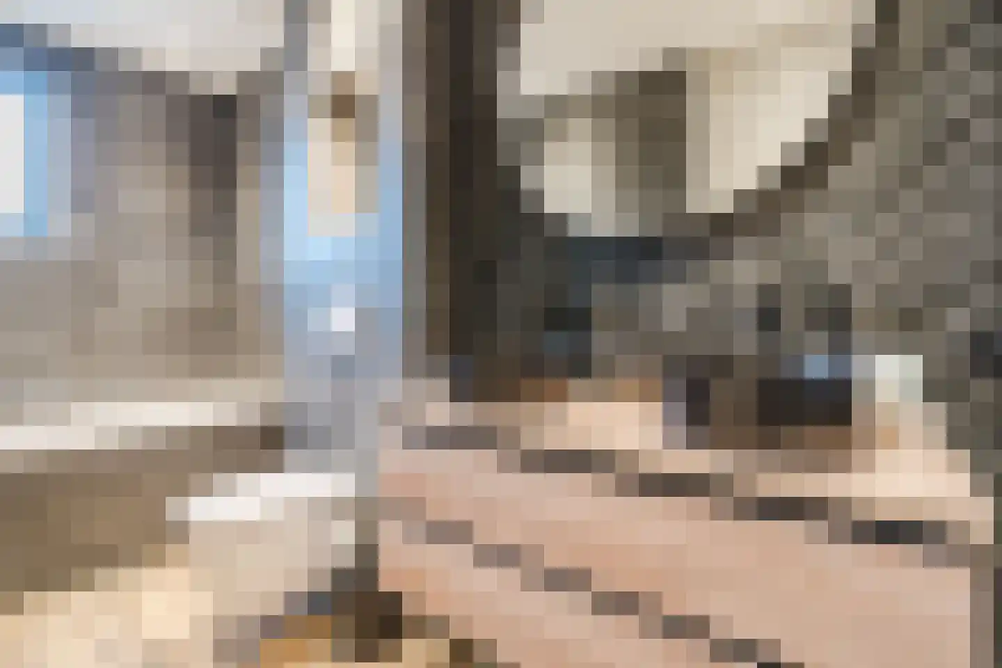 De Poste 40 Hollandscheveld thumbnail 33