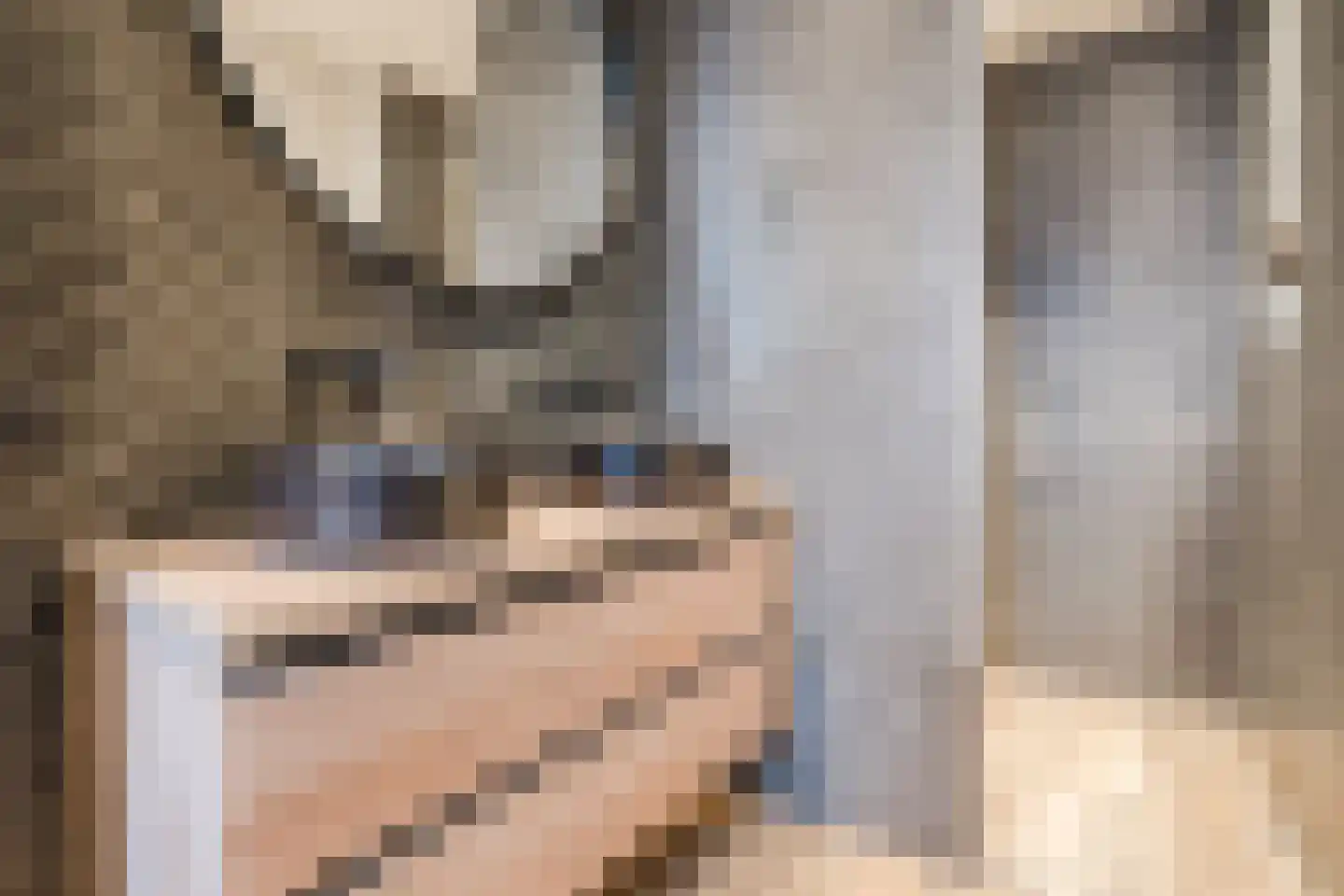 De Poste 40 Hollandscheveld thumbnail 35
