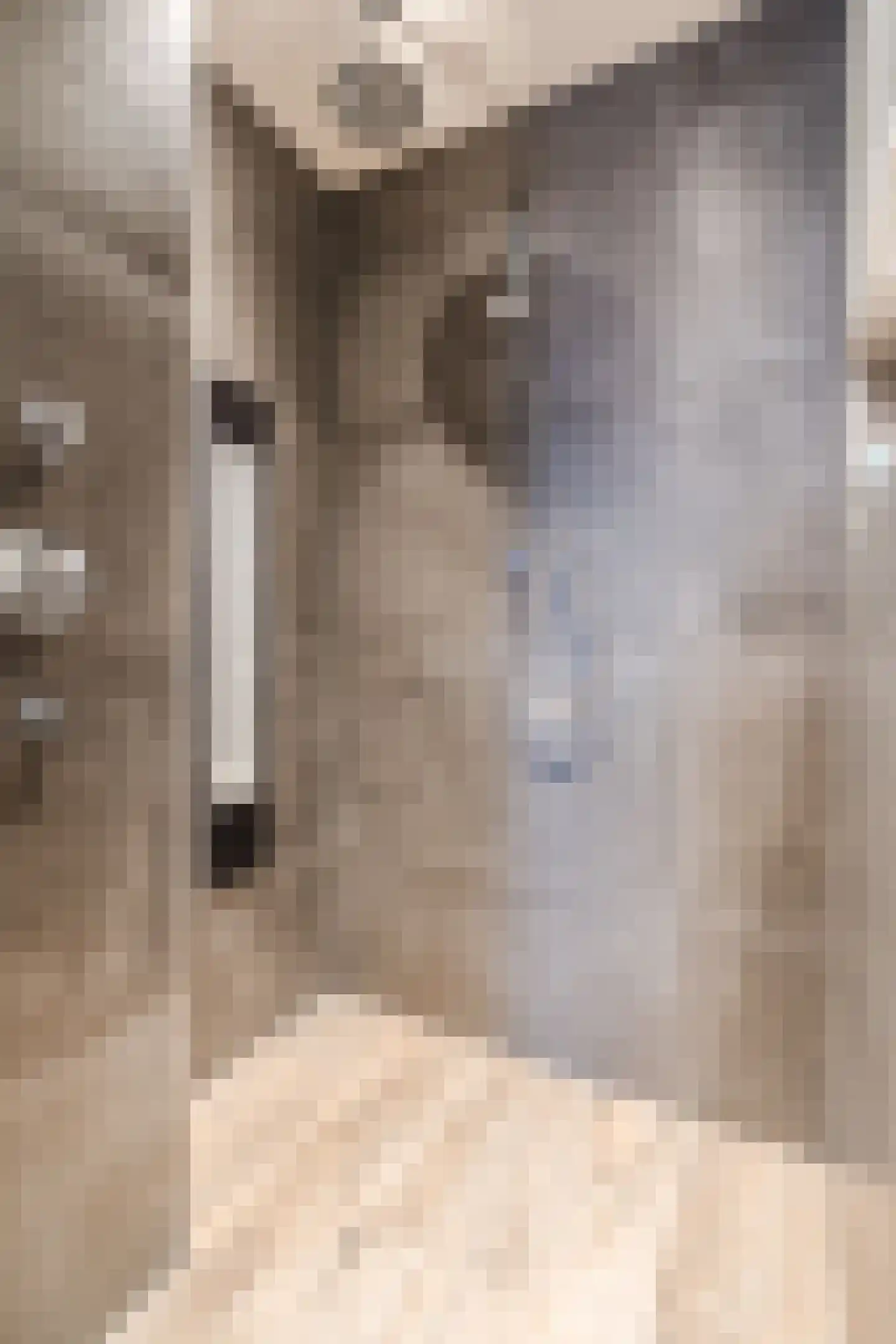 De Poste 40 Hollandscheveld thumbnail 36